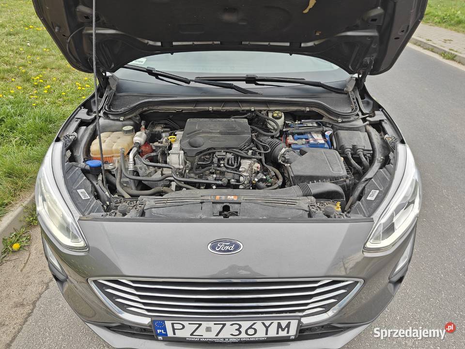 Ford Focus Mk4 10 EcoBoost Trend Edition Hatchback Focus Kluczbork