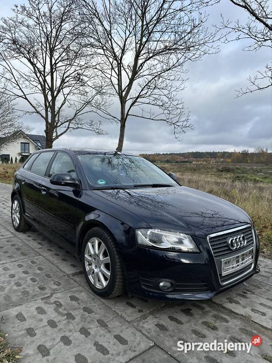 Audi A3 8P 18 TFSI 160 DRL PDC elektrochrom. lusterka boczne pomorskie Starogard Gdański sprzedam