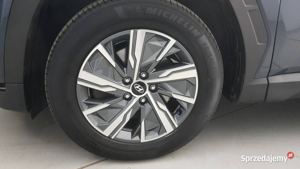 Hyundai Tucson 16 TGDi HEV Executive 4WD Z nieuszkodzony