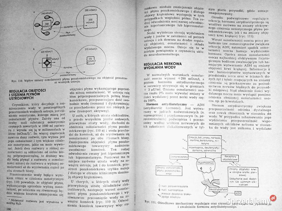 Intensywna terapia W Jurczyk Z Rondio lubelskie Chełm
