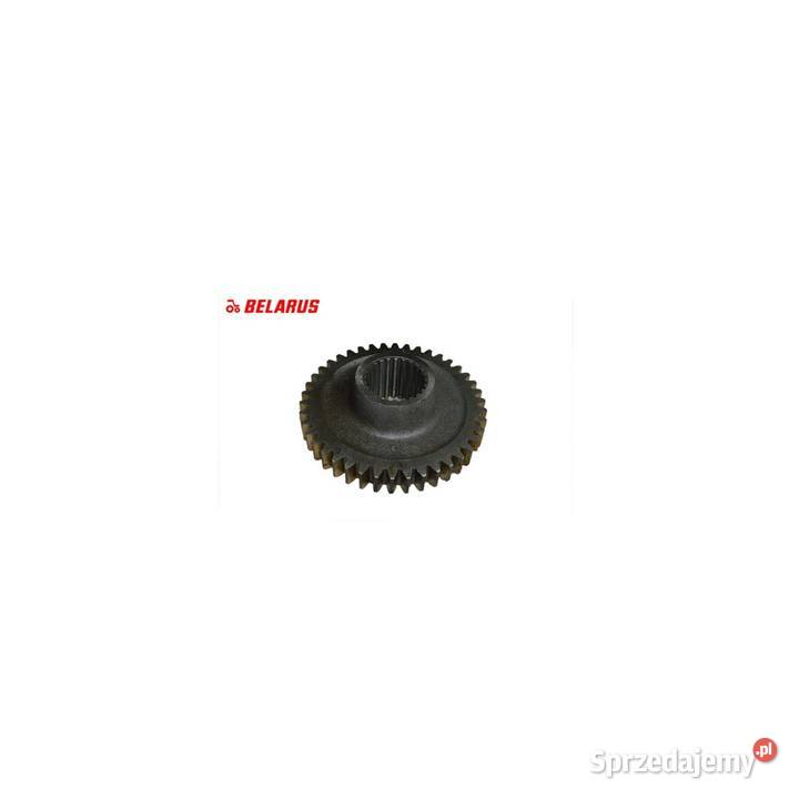 Koło zębate mtz z42 oryginał Parczew sprzedam