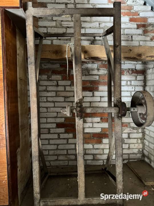 Cerkularka krajzega Piły stołowe Frampol