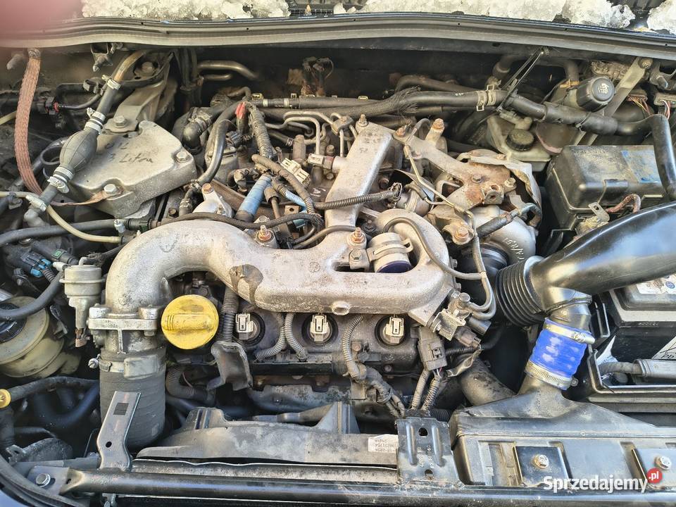 Renault van satis Espace 30DCI silnik wszystkie Rok produkcji 2004 Mędrzechów