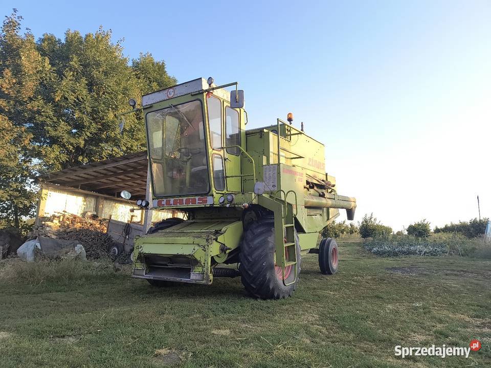 Class Dominator 85 świętokrzyskie Garbacz sprzedam