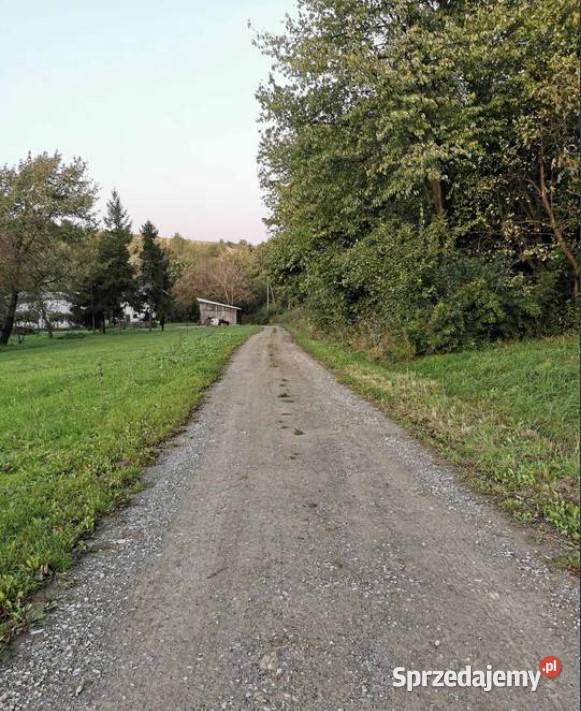 Działka budowlana spokojna okolica dojazd podkarpackie Siedleczka sprzedam