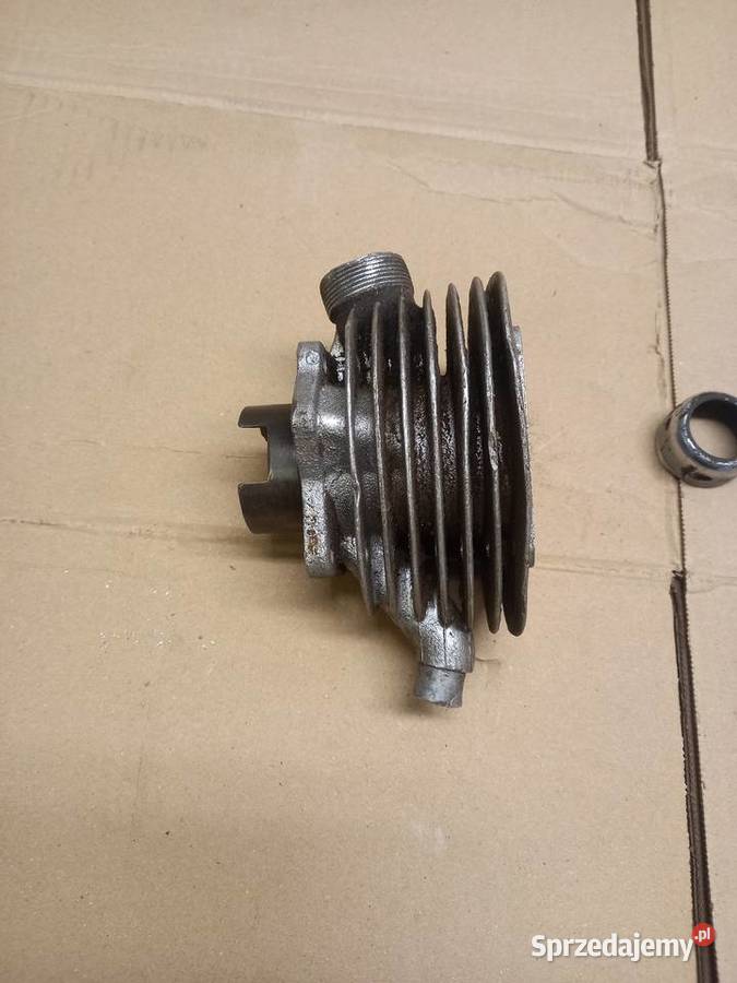 Cylinder komar sztywniak mazowieckie Sokołów Podlaski