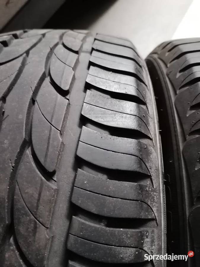 Opony letnie Dębica presto HP dot 4421 bierznik 195 Opony