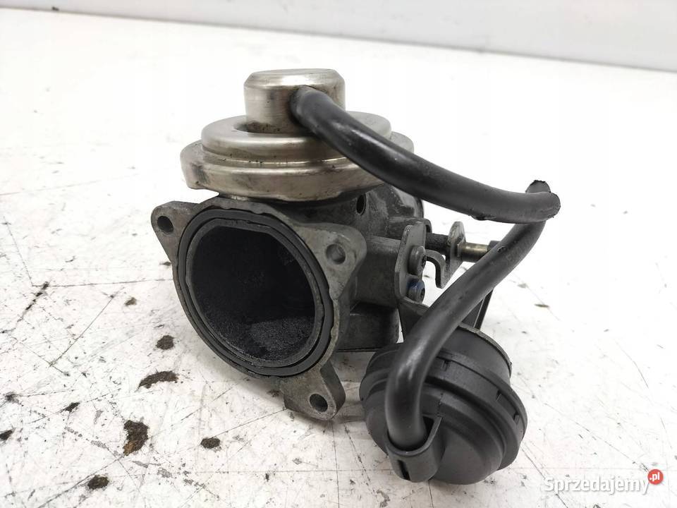 ZAWÓR EGR 038129637B 19 TDI Seat Ibiza III świętokrzyskie