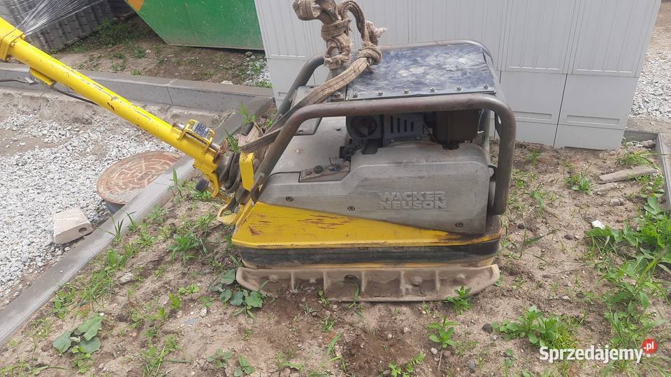 Syndyk sprzeda zagęszczarka Wacker Neuson model Wrocław sprzedam