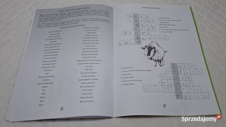 Zagroda Żubrów w Pszczynie Książeczki dzieci śląskie Czeladź