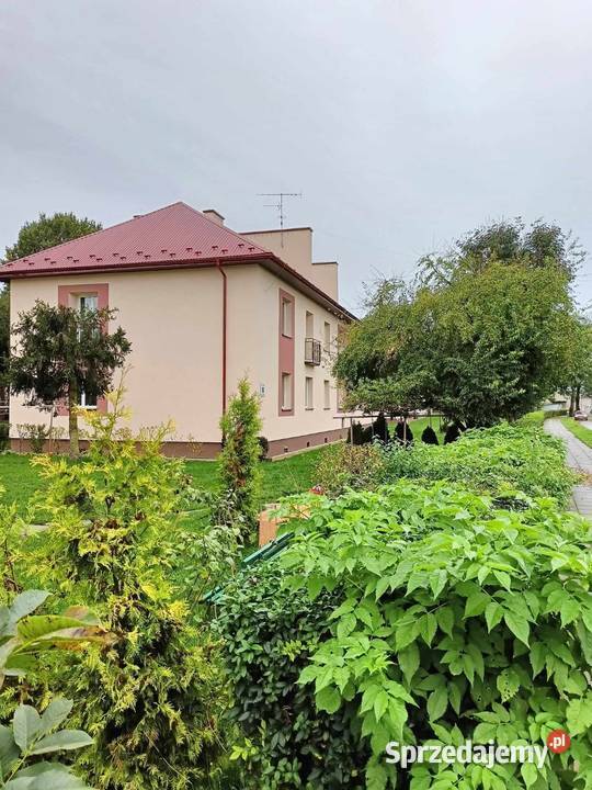 Mieszkanie z ogródkiem telefon Niedomice sprzedam