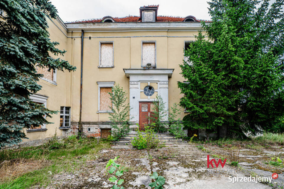 Lokal sprzedam Sieraków Poznańska 176396m 1303zł/m2 wielkopolskie