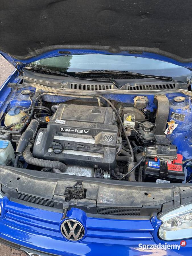 Volkswagen Golf IV 14 16V 1998 73 403 Salon podkarpackie Potakówka