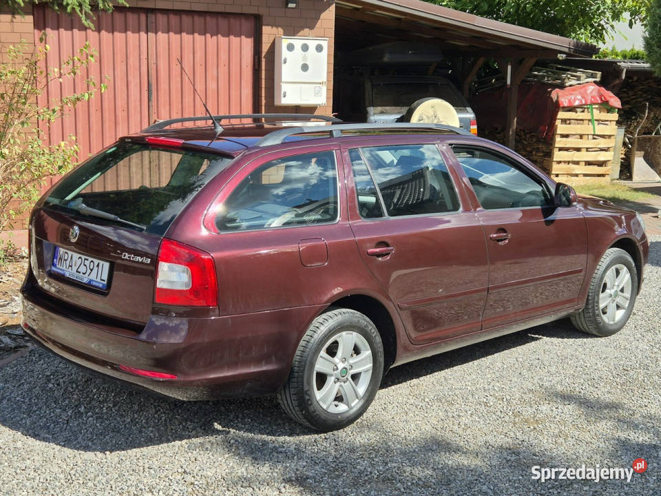 koda Octavia 2010r 16B MPI 102 Z światła przeciwmgielne