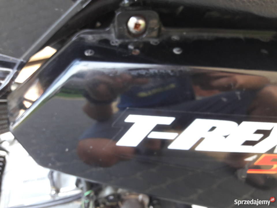 Skyteam TREX 50110 benzyna Chmielnik