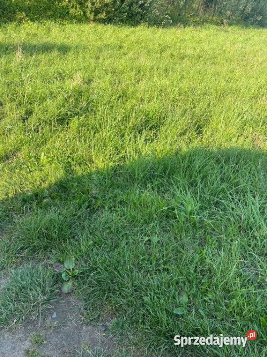 Działka Sarbinowo 2000m2 sprzedam