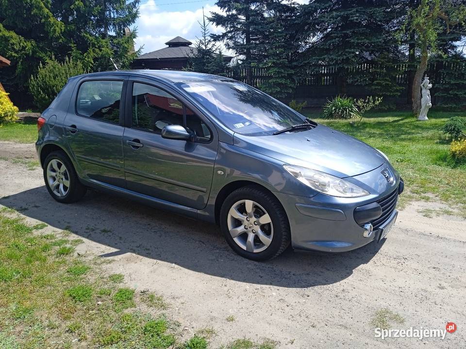 Peugeot 307 16 BenzynaKlimatyzacja210Prrzebieg Łagów
