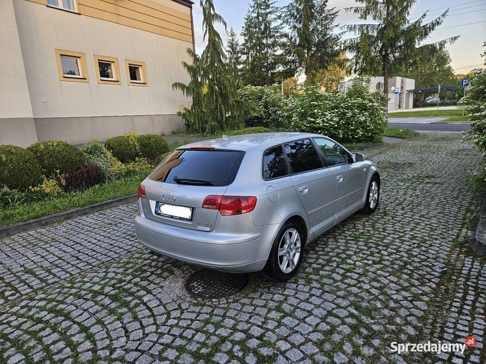 Audi A3 2006r 20Tdi 4x4 Quattro Klimatronik małopolskie Ryglice