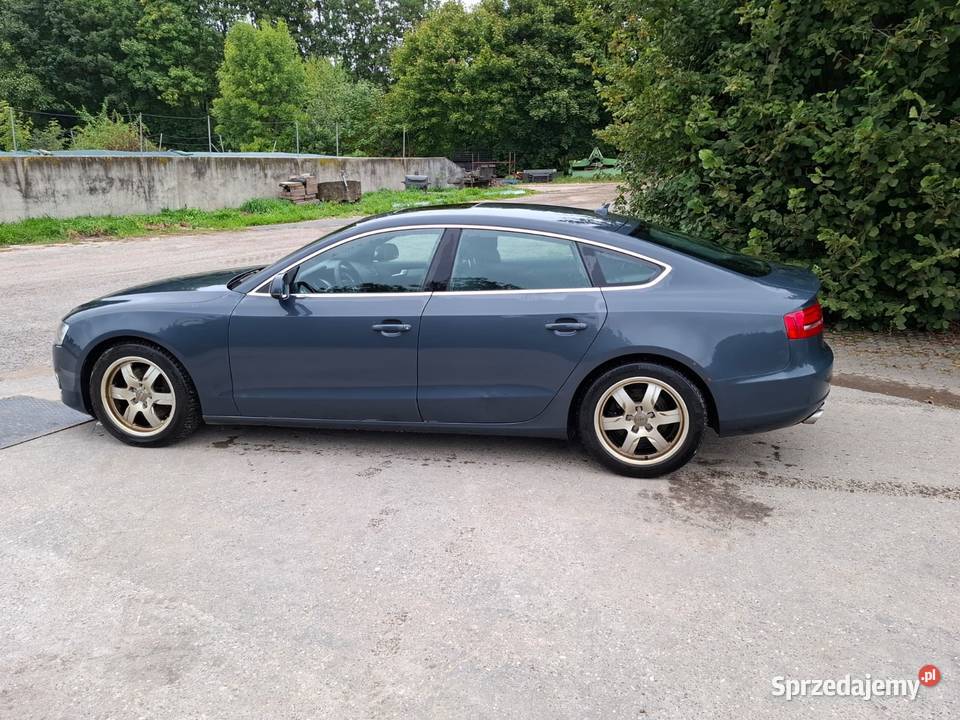 Audi A5 Sportback 30 tdi Quattro Leszno sprzedam