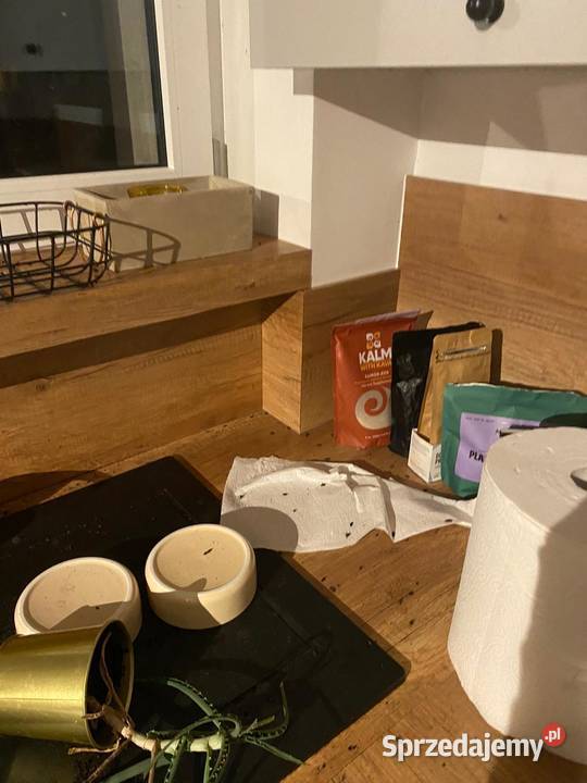 Specjalistyczne sprzątanie zgonach szybka Czeladź