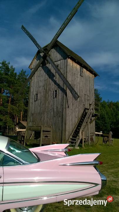 Cadillac Mustang Lincoln Rolls Bentley Mercedes 1000km Białystok