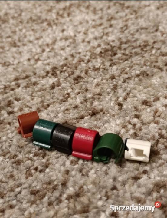 Mam czipy gołębiarskiec Ptaki Łany