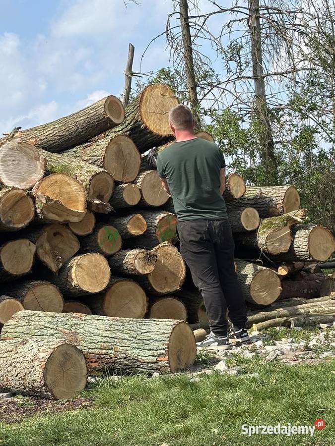 Sprzedam drewno liściaste Opał Mrocza