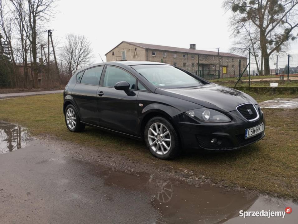Seat Leon II 2010r 16 TDI Leon Bruki Unisławskie
