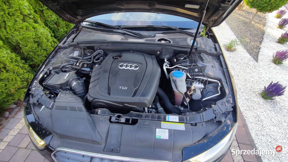 Audi A4 b8 lift XenonLED 20 Tdi Motoryzacja Tomaszów Lubelski