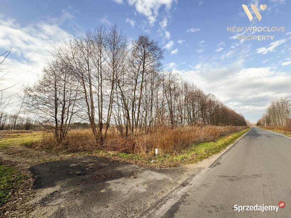 Duża działka rolna Złotów dostęp do drogi sprzedam