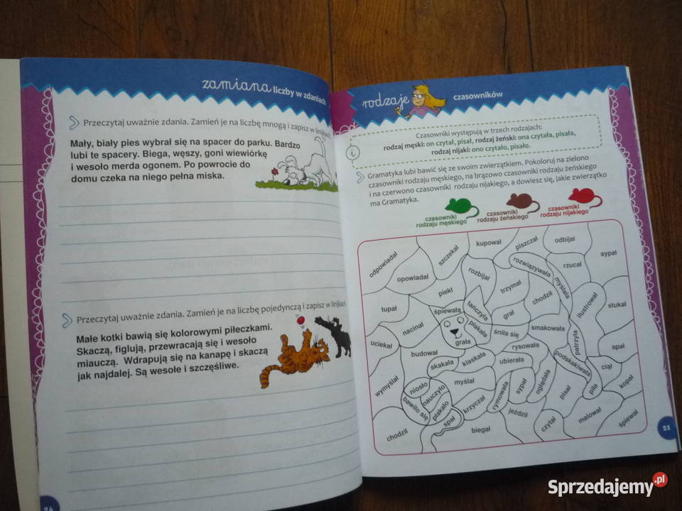 Gramatycy i Ortograficy na start klasa 3 Szczecin