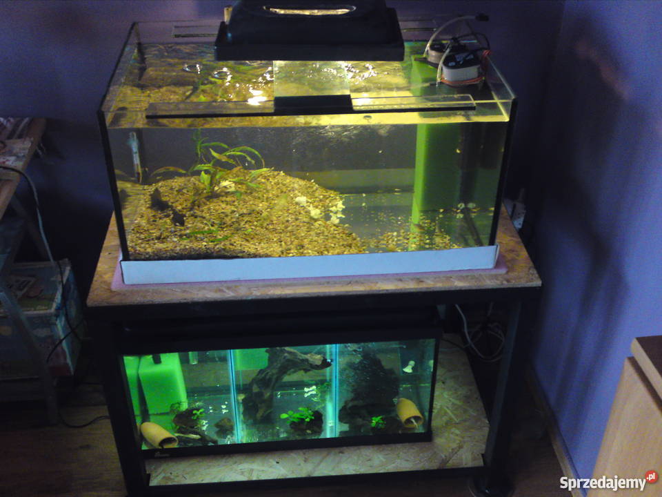 Regał akwarystyczny Olkusz sprzedam