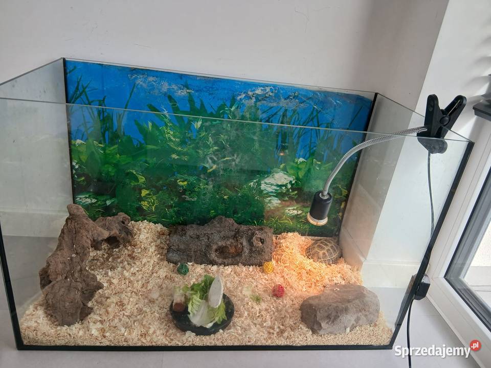 Żółw stepowy lądowy akwarium 40x80x51 i lampa Tarnobrzeg