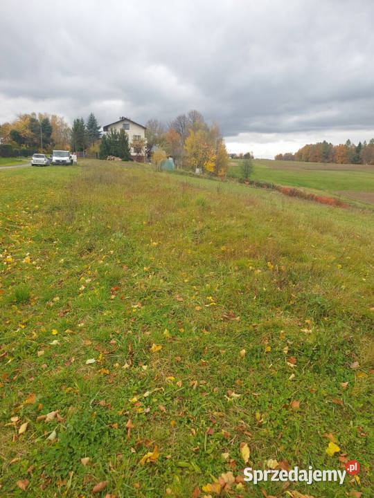 Działka budowlana 36 ar Tuchów Okazyjna małopolskie