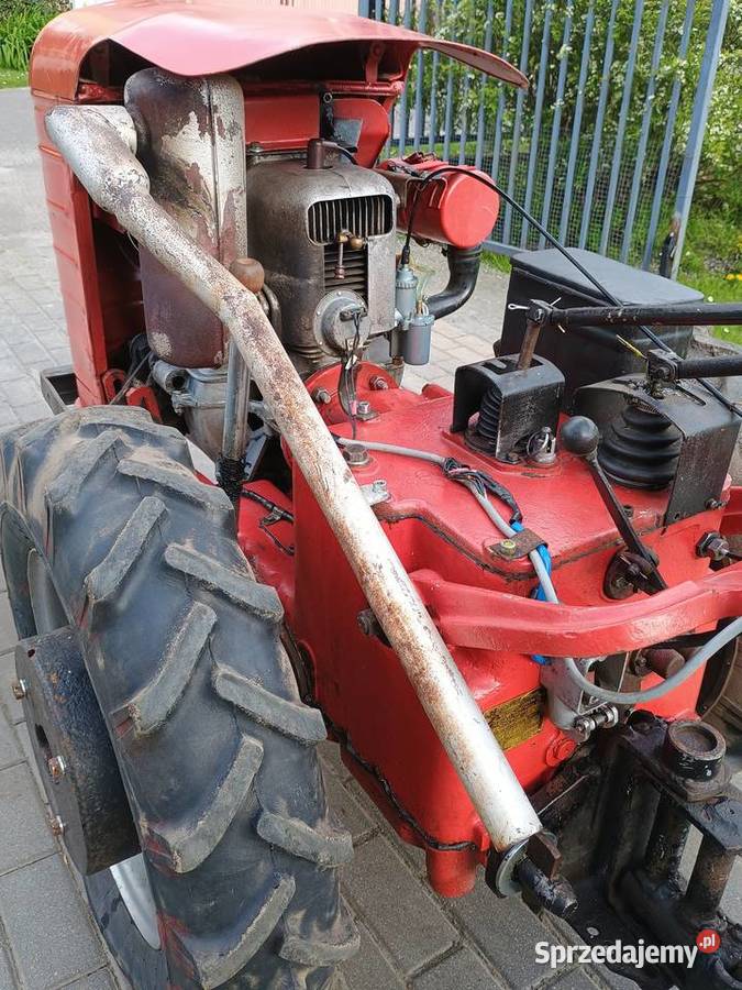 Sprzedam dzik 2 Polatycze