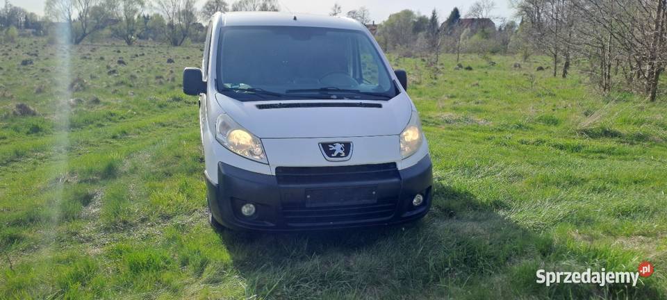 Sprzedam peugeot expert diesel Bolesławiec