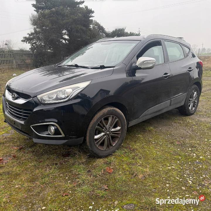 Dach Kolor PAE Hyundai IX35 Lift osobowe Barłogi