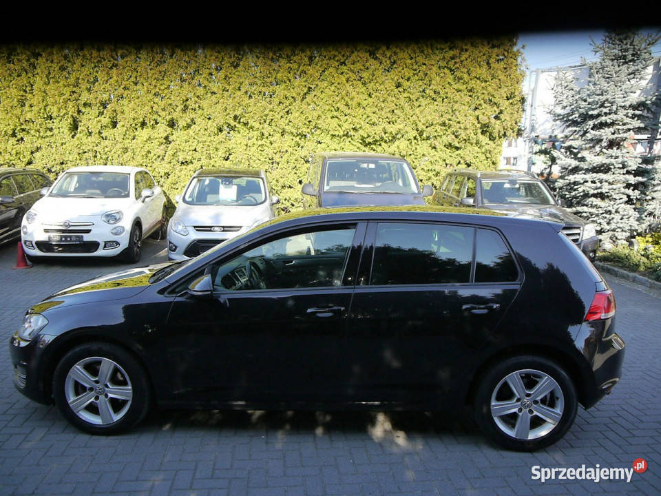 Volkswagen Golf 16tdi 150tkm Stan b wspomaganie kierownicy Częstochowa
