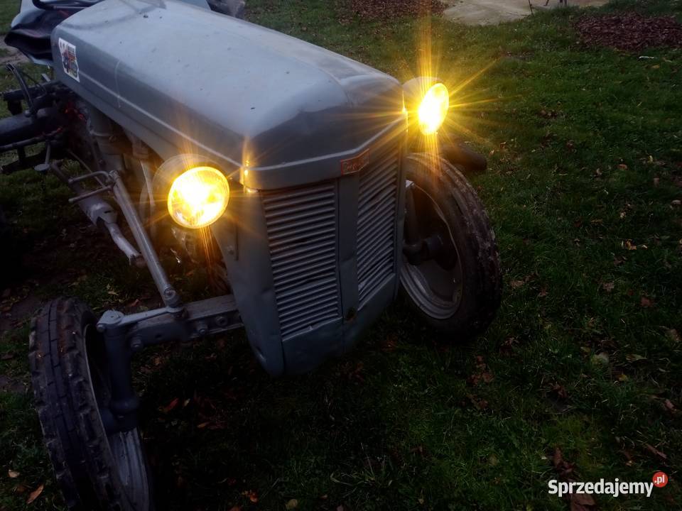 Ferguson tea 20 1951 zarejestrowany Poddębice