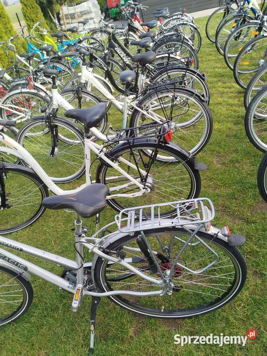 Rowery damki męskie z Niemiec duży wybór rowerów Medyka