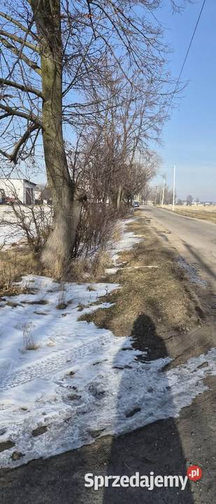 Działka Budowlana Mikołów 1922m2