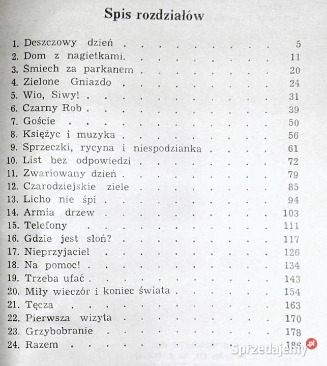 Wakacje w Borkach Jadwiga Korczakowska lubelskie Chełm
