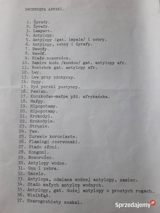 Przeźrocza Zwierzęta Półn Amerykańskie