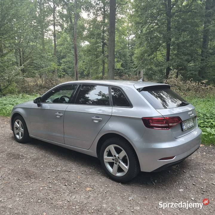 Audi a3 8v Hatchback Krotoszyn