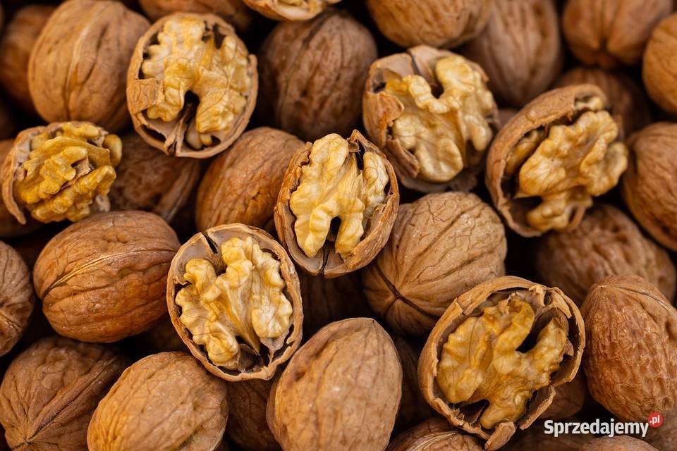 Orzechy włoskie Pozostałe