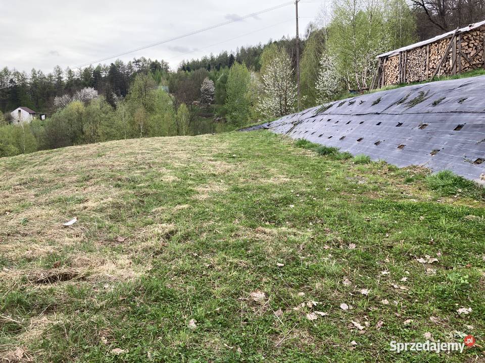 Sprzedam działki widokowe w Przedmieściu Sprzedaż podkarpackie Czudec