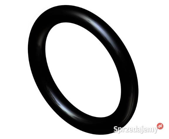 272217 Oring CNH