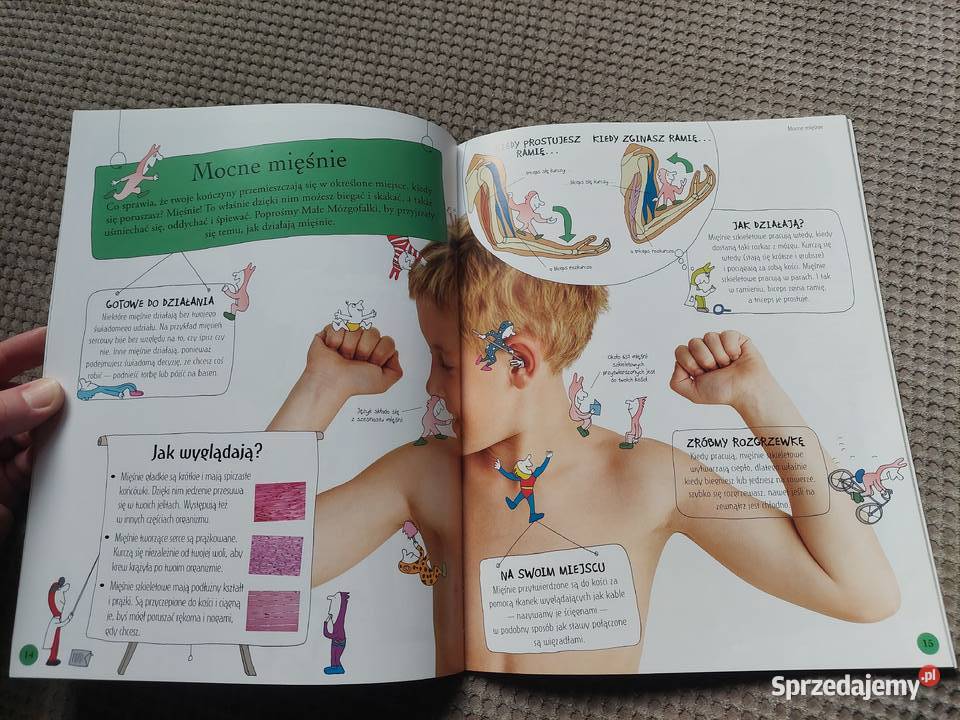 National Geographic Małe Mózgofalki poznają Kraków