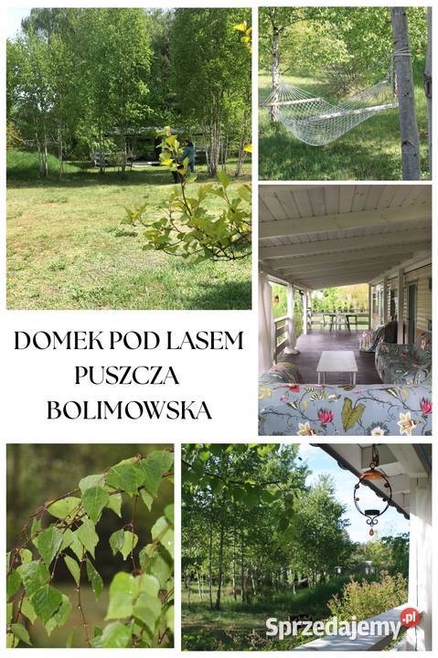 Działka budowlana uzbrojona w otulinie Puszczy Sprzedaż Grabina Radziwiłłowska