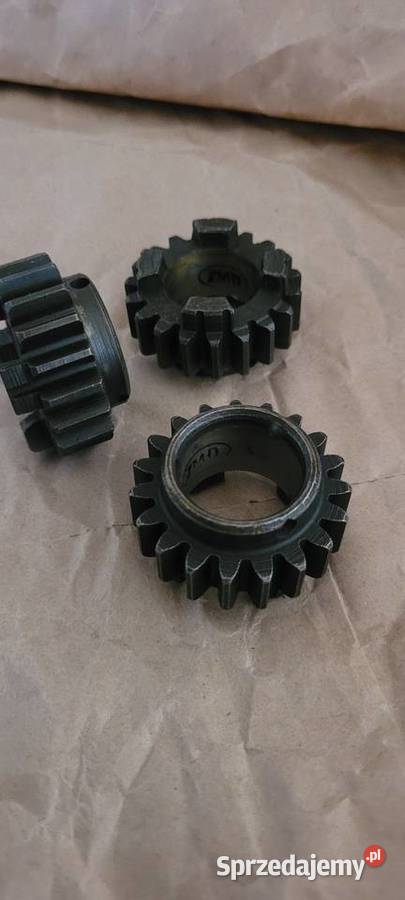 Wsk 175 koło 19 zębów kujawsko-pomorskie Rypin